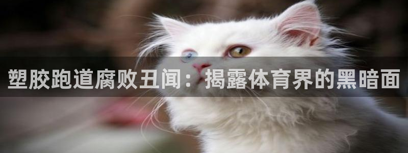 红足一比分网