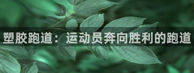红足一1世66814
