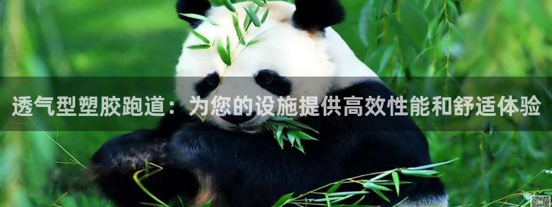 红足一1世