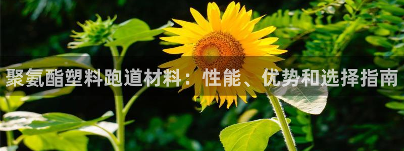 4633333开奖结果4176一点红