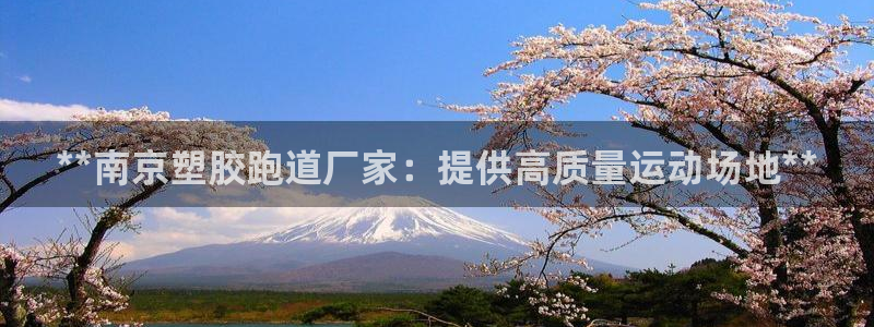 红足一1世官网比分