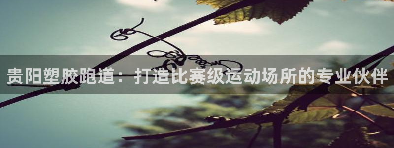 红足一1世官网比分