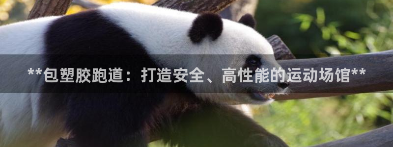 百度红足一1是什么样子的