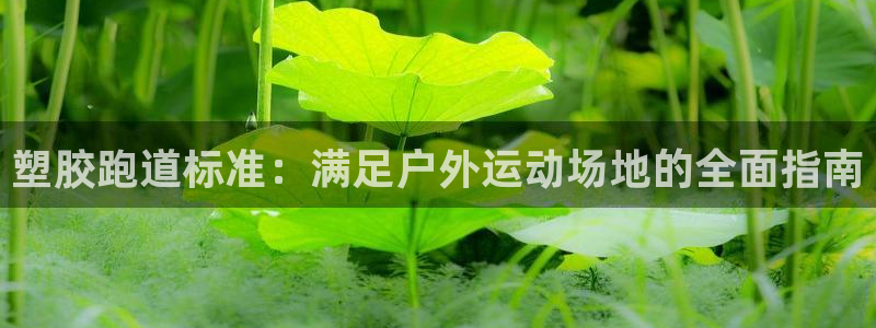 777814红·足一世