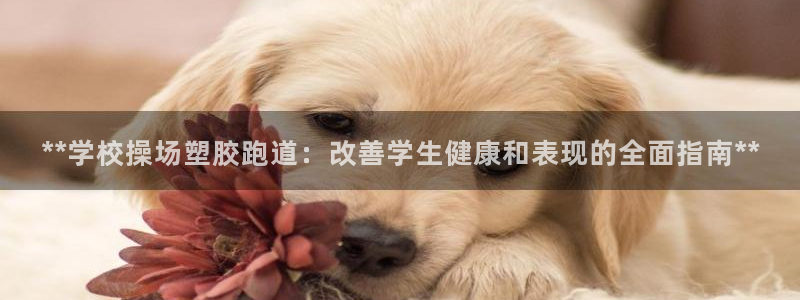 红足1一世 2站