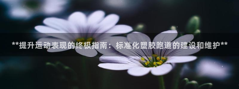 红足1世手足球比分