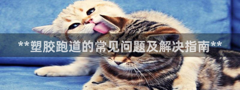 红足一1世比分球探