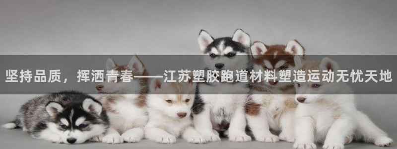 红姐现场直播开奖记录