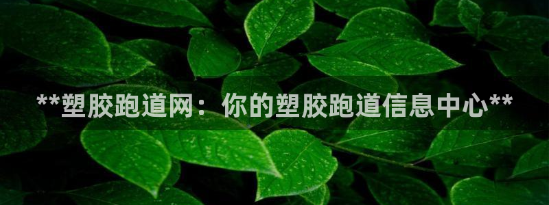 红足一1世666814足球