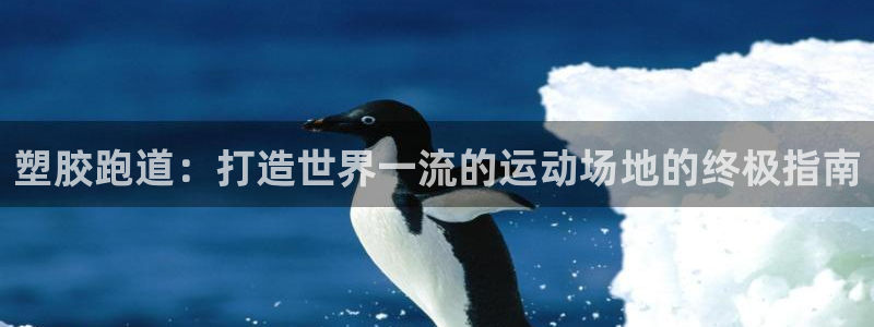红足1一世足球手机