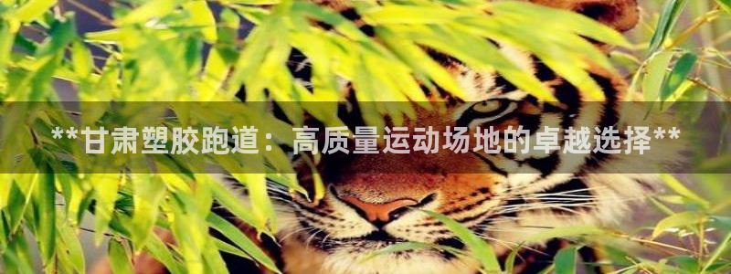 红足一比分网
