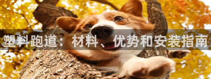 333814红足1世