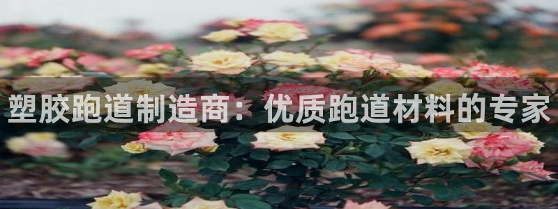 红足一1世手机版赛果