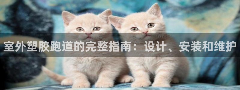 红足一1世开奖记录