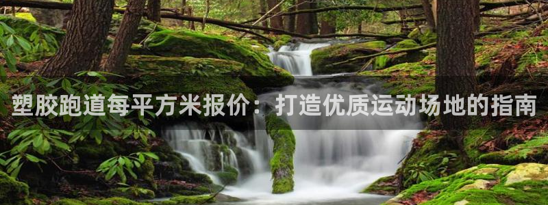 红足体育网