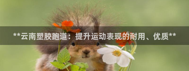 红足1一世开奖版