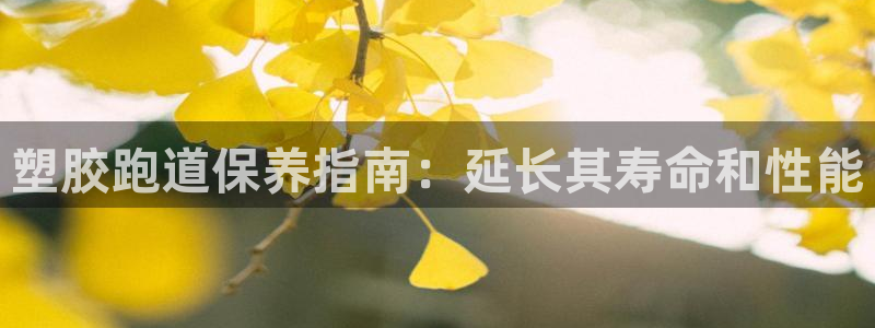 红足1世足球比分预测