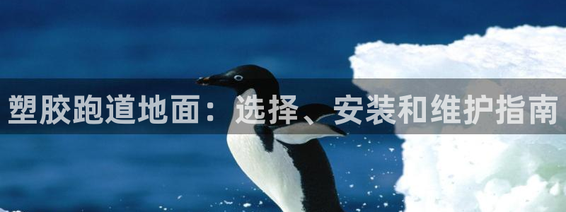 红足一1世皇冠