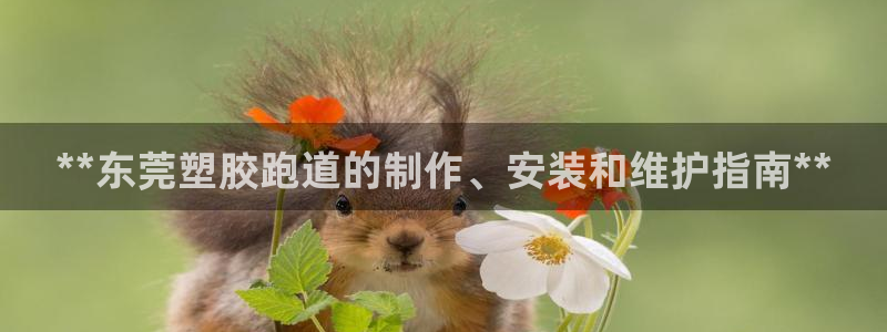 红足一一世