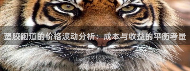 红足一1世皇冠地址：塑胶跑道的价格波动分析：成本与收益的平衡考量