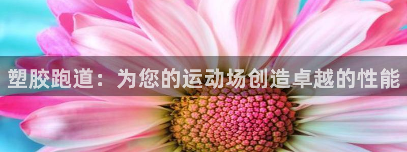 红足1世开奖预测：塑胶跑道：为您的运动场创造卓越的性能