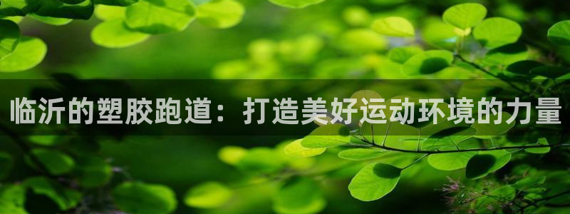新2足球平台出租网站：临沂的塑胶跑道：打造美好运动环境的力量