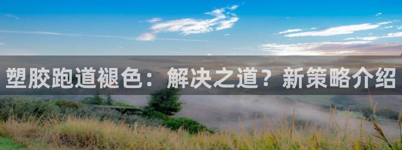 红足网足球直播：塑胶跑道褪色：解决之道？新策略介绍