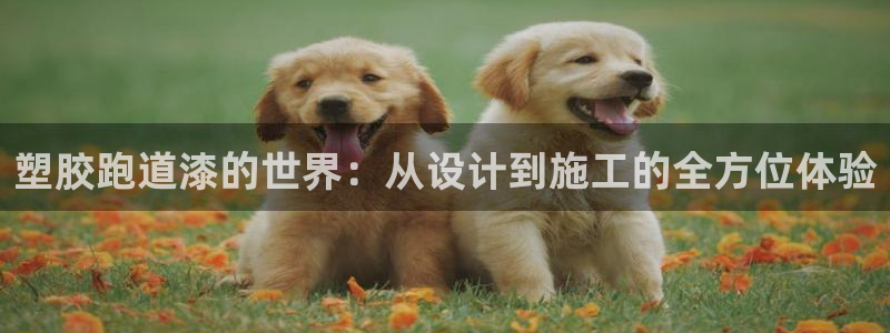 红足1世足球网址大全：塑胶跑道漆的世界：从设计到施工的全方位体验