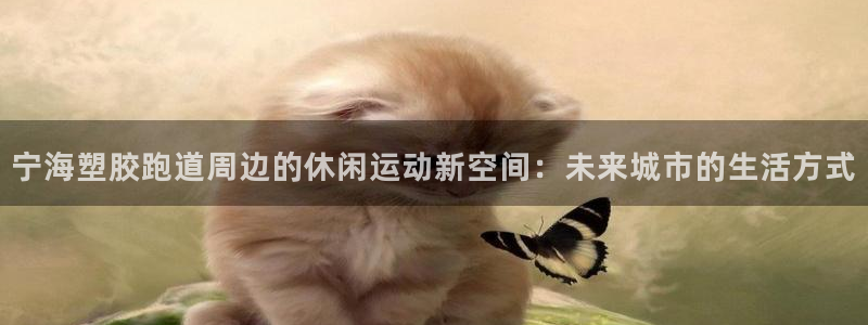 红足1一世开奖版：宁海塑胶跑道周边的休闲运动新空间：未来城市的生活方式