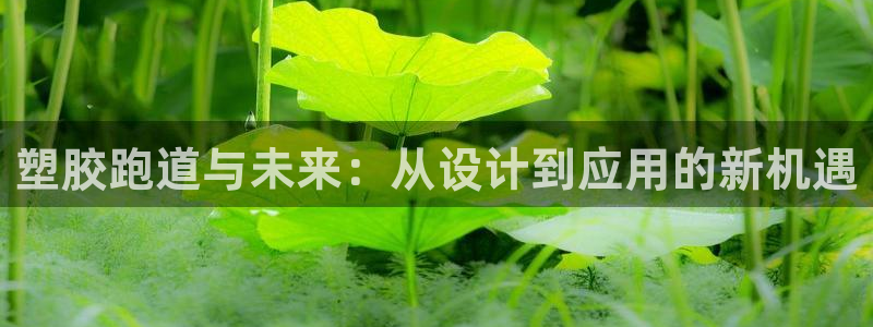 红足一1世即时比分：塑胶跑道与未来：从设计到应用的新机遇