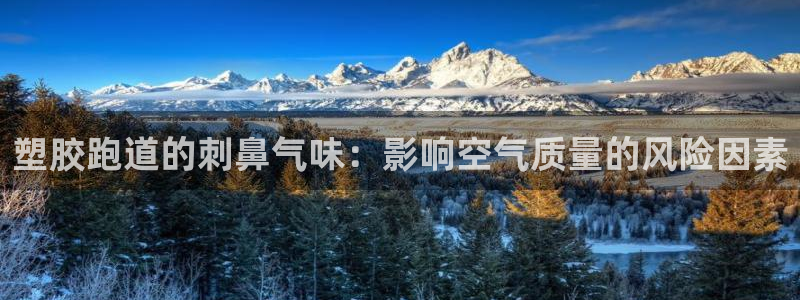 红足一1世平台：塑胶跑道的刺鼻气味：影响空气质量的风险因素