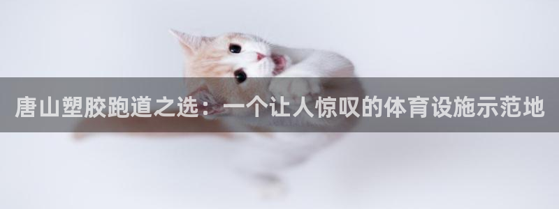 百度红足一1是为什么：唐山塑胶跑道之选：一个让人惊叹的体育设施示范地