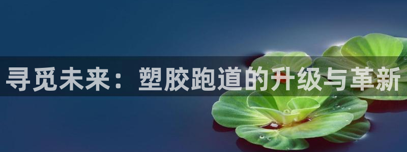红足1世1站：寻觅未来：塑胶跑道的升级与革新